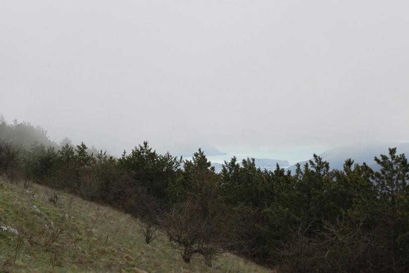 Земляничне з panoramio.com - Zemlyanychne