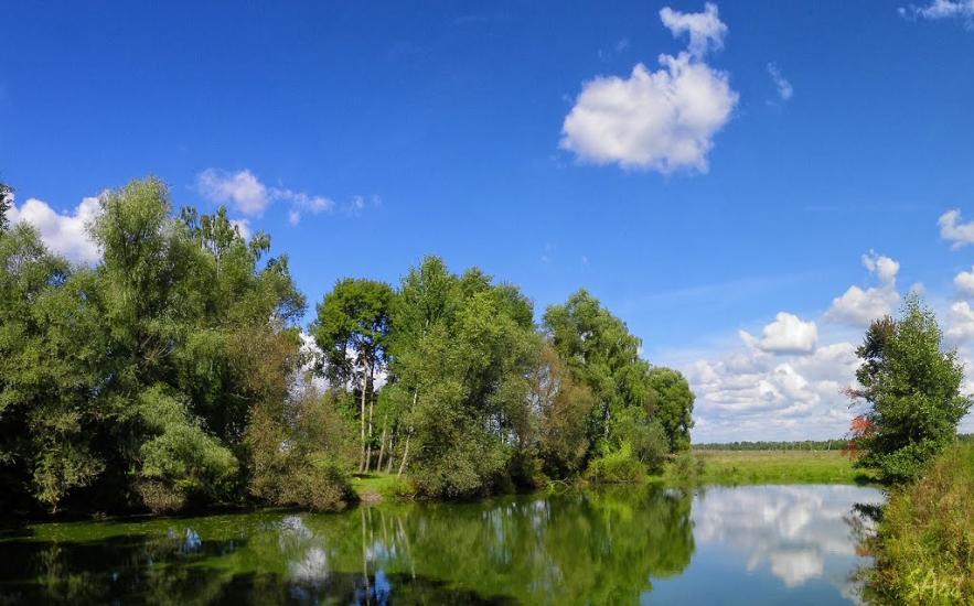 Степанівка з panoramio.com - Степанівка
