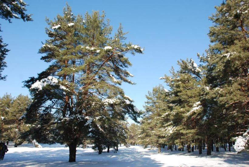 Миколаїв з panoramio.com (ч.4) - Николаев
