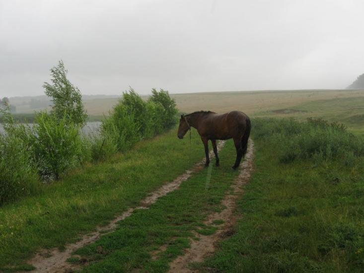 Ярмолинці з panoramio.com - Ярмолинці