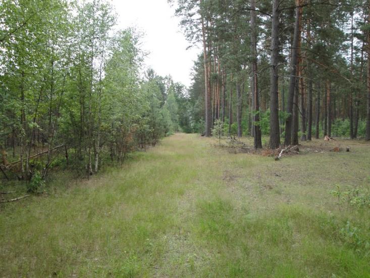 Скиток з panoramio.com - Скиток