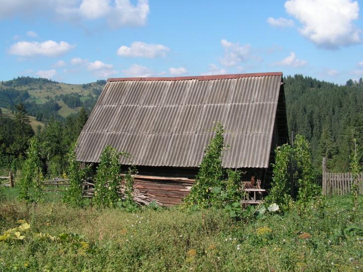 Путила з panoramio.com - Путила