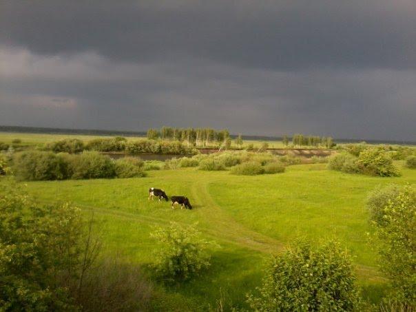 Березне з panoramio.com - Berezne