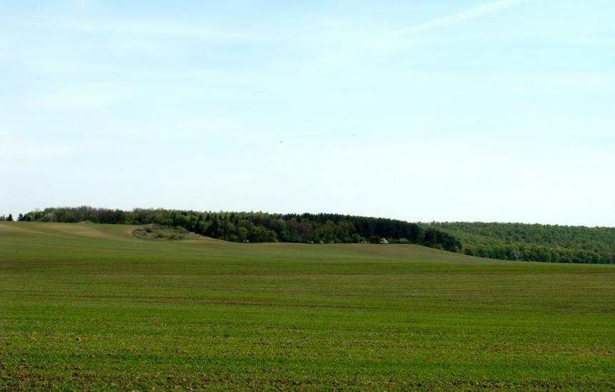 Колоденка з panoramio.com - Колоденка