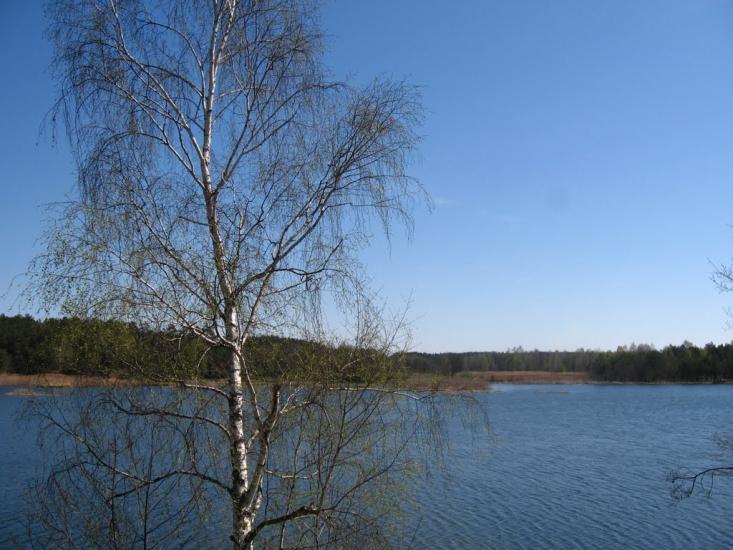 Стригани з panoramio.com - Стриганы