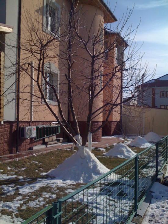 Пухівка з panoramio.com - Pukhivka