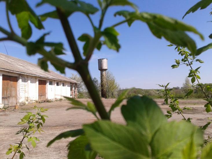 Вербка з panoramio.com - Вербка