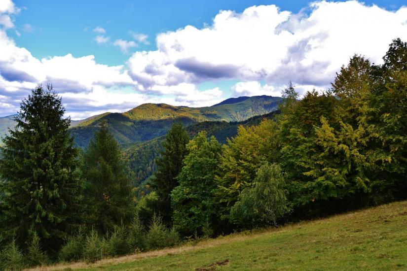 Росішка з panoramio.com - Росішка