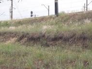 Студенок з panoramio.com