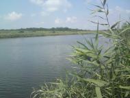 Олександрівка з panoramio.com