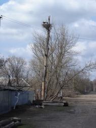 Григорівка з panoramio.com