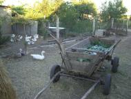 Новокрасне з panoramio.com