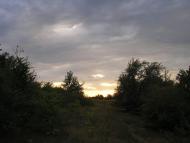 Петрове з panoramio.com