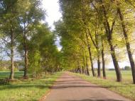 Вільшане з panoramio.com