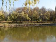 Домаха з panoramio.com