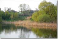 Шпичинці з panoramio.com