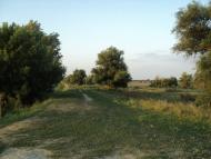 Василівка з panoramio.com