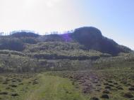 Бедевля з panoramio.com