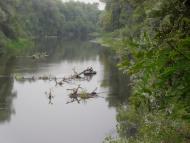 Нижня Мануйлівка з panoramio.com