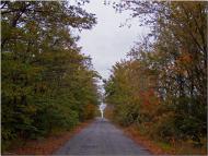 Пичугине - Останні фото