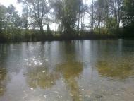 В'язенка з panoramio.com