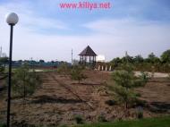 Шевченкове з panoramio.com