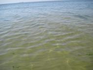 Морське з panoramio.com