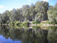 Омельник з panoramio.com