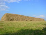 Бігунь з panoramio.com