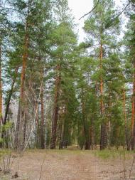 Ярова з panoramio.com