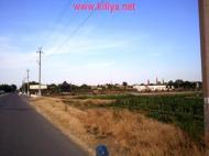 Шевченкове з panoramio.com