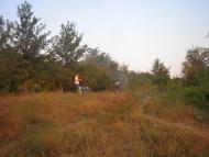 Петрове з panoramio.com