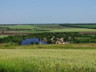 Олександрівка з panoramio.com