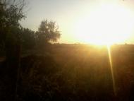 Підстепне з panoramio.com