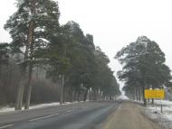 Дерно з panoramio.com