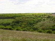 Кружилівка з panoramio.com