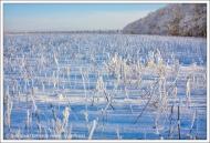 Липці з panoramio.com