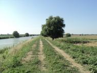 Василівка з panoramio.com