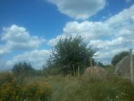 Підстепне з panoramio.com