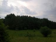 Стуфчинці з panoramio.com