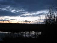 Kalynove - Latest photos