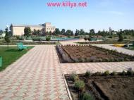 Шевченкове з panoramio.com