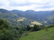 Ужок з panoramio.com