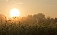 Висока Піч з panoramio.com - Vysoka Pich