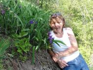 Нова Миколаївка - Останні фото