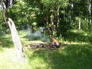 Саї з panoramio.com