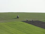 Бронники з panoramio.com