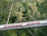 Комарівка з panoramio.com