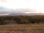 Пчолине з panoramio.com