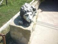 Міняйлівка - Останні фото